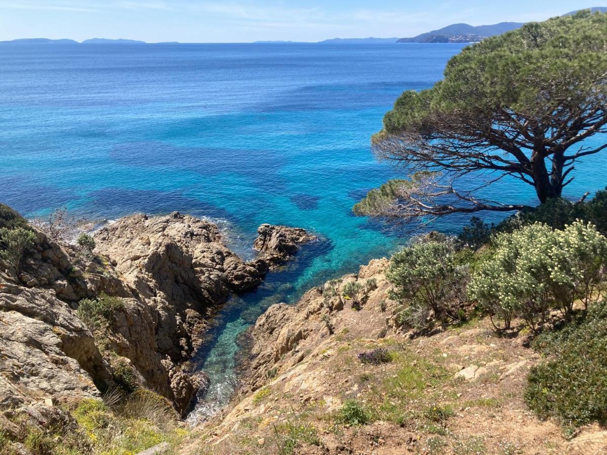 Le Petit Vue Mer La Croix-Valmer Exteriér fotografie